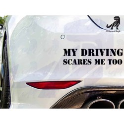 My Driving Scares Me To
